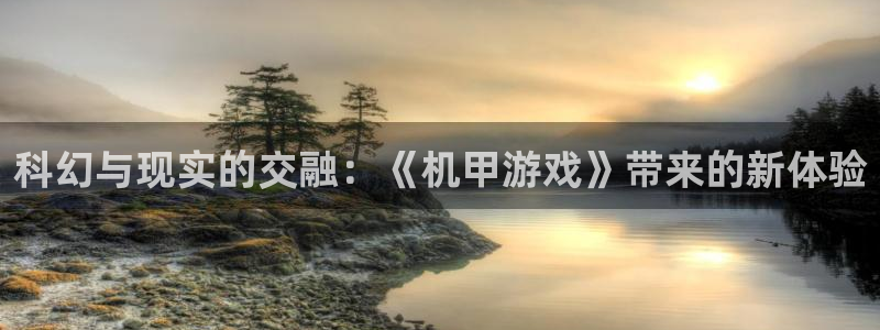 科幻与现实的交融：《机甲游戏》带来的新体验