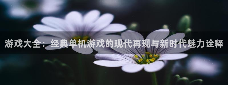 游戏大全：经典单机游戏的现代再现与新时代魅力诠释