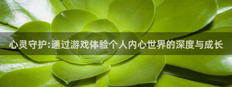 心灵守护:通过游戏体验个人内心世界的深度与成长