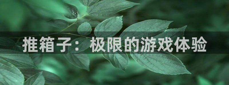 推箱子：极限的游戏体验