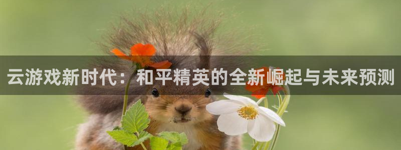 米6官网下载：云游戏新时代：和平精英的全新崛起与未来预测