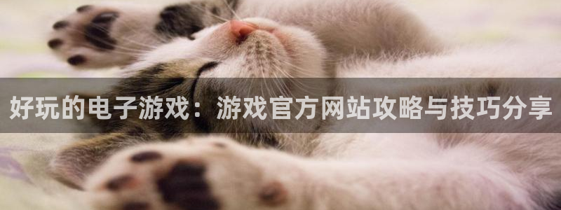 米乐m6罗纳尔迪尼奥加内特：好玩的电子游戏：游戏官方网站攻略