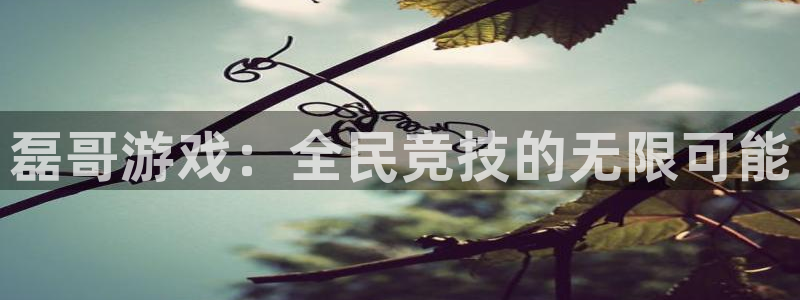 m6米乐怎么提现