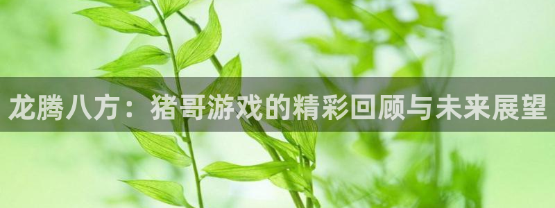 米乐m6贴吧